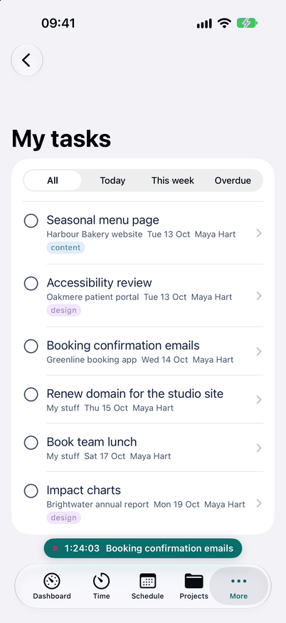 A project's task list on iPhone, with due dates and assignees.